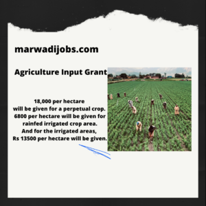 Agriculture Input Grant